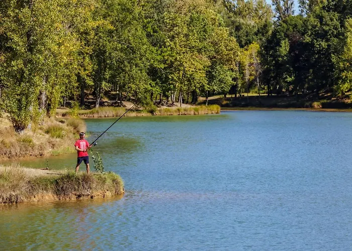 营地 Les Auzerals Du Rabastens