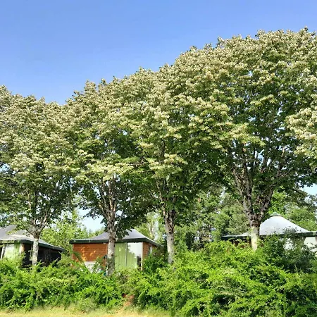 Les Auzerals Du * Rabastens